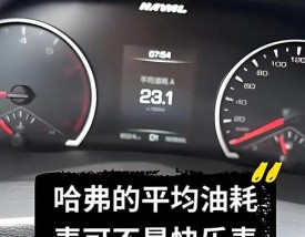 哈弗h4油耗／哈弗h4油耗高不高