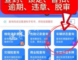 车辆信息查询系统官网入口,车辆信息查询结果