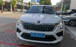 科迪亚克最致命的缺点,科迪亚克小毛病多吗