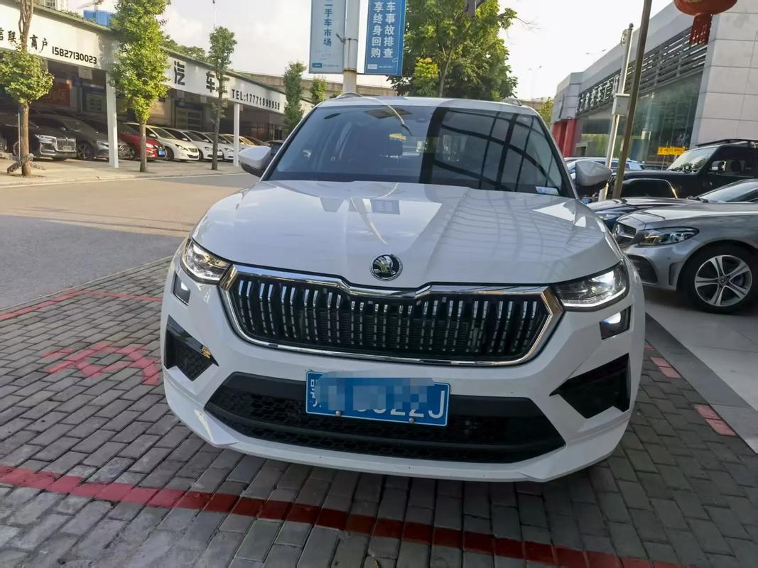 科迪亚克最致命的缺点,科迪亚克小毛病多吗