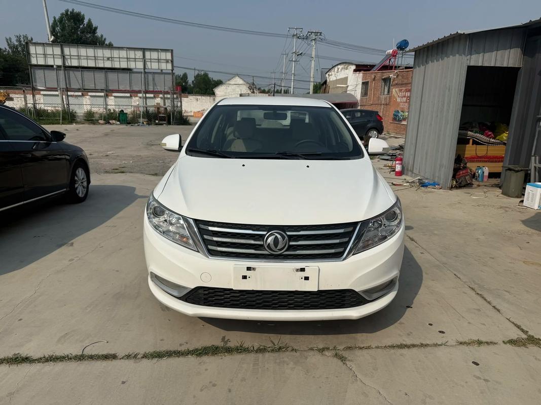 东风牌小轿车(东风牌小轿车前大灯笼多少钱)