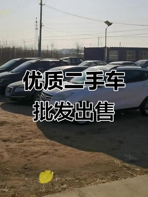 保定最大的二手车行(保定最大二手车市场)
