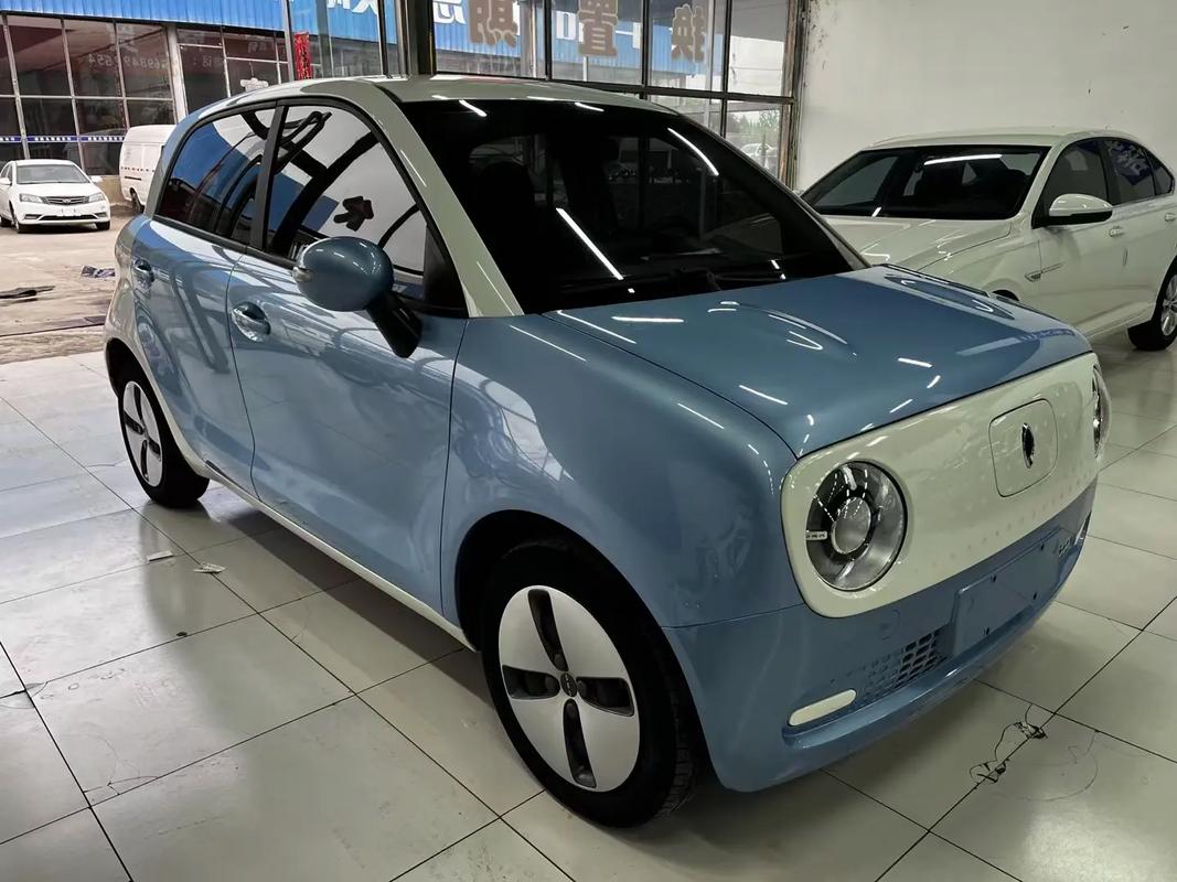 欧拉黑猫新能源电动汽车 欧拉黑猫电动汽车的价格