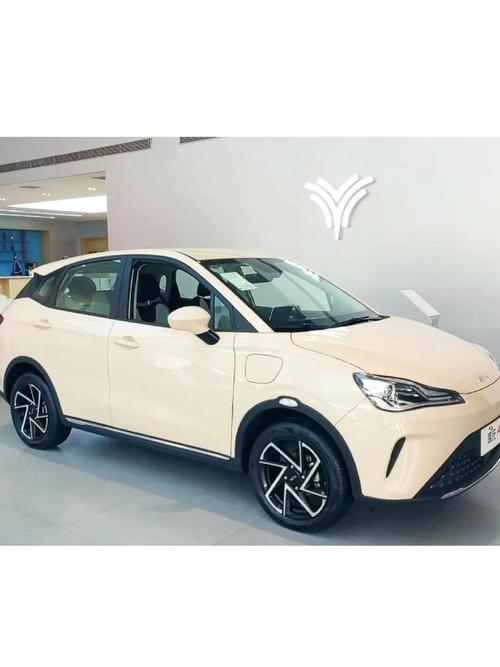 新能源纯电车排名前十名/3万一5万女士新能源