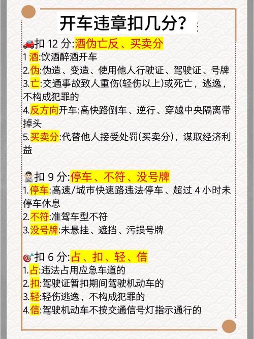 交通违章查询缴费官方网站/交通违章查询缴费官方网站下载
