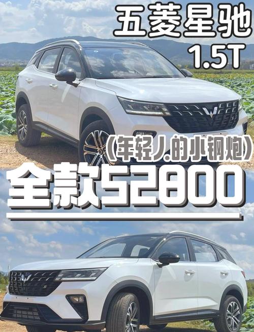 五菱530五座报价图片/五菱5座suv报价和图片