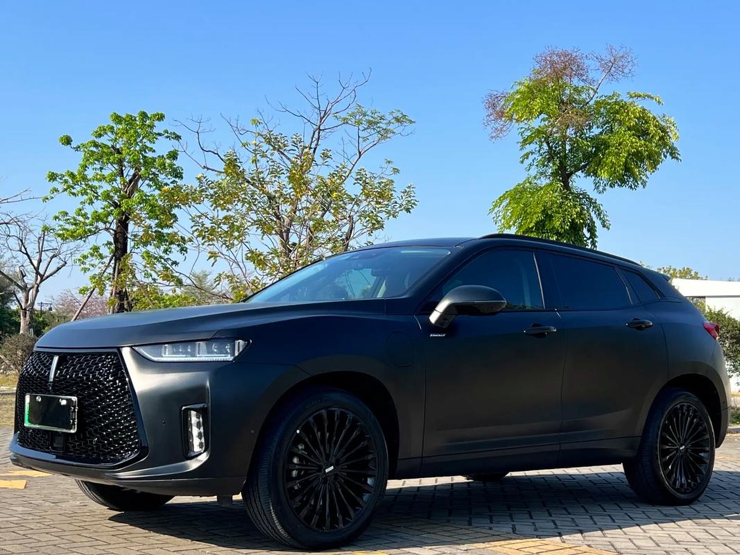 长城weyp8,长城wey商务车