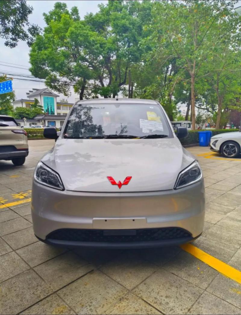 五菱宏光电动车2023款,五菱宏光新款电车