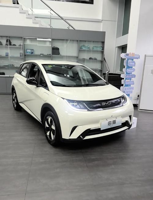 比亚迪纯电动小型汽车,比亚迪电动汽车 小型
